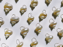 Load image into Gallery viewer, Turbo Shell Earrings