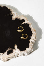 Load image into Gallery viewer, Viper Earrings