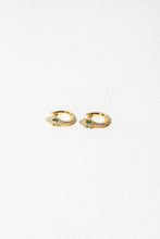 Load image into Gallery viewer, Viper Earrings